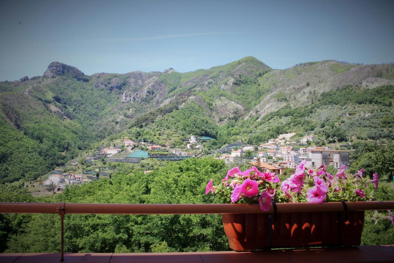 Tra I Monti Bed & Breakfast ตรามอนติ ภายนอก รูปภาพ