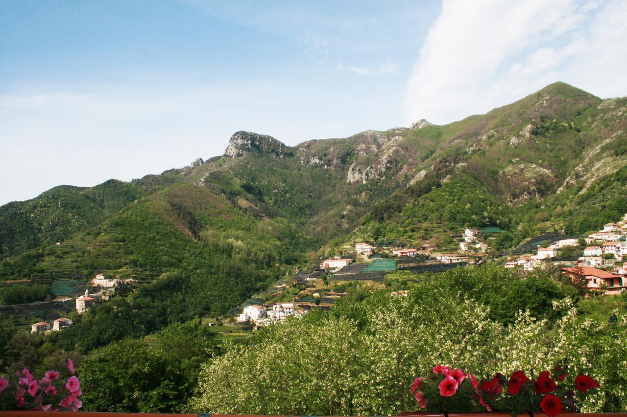 Tra I Monti Bed & Breakfast ตรามอนติ ภายนอก รูปภาพ