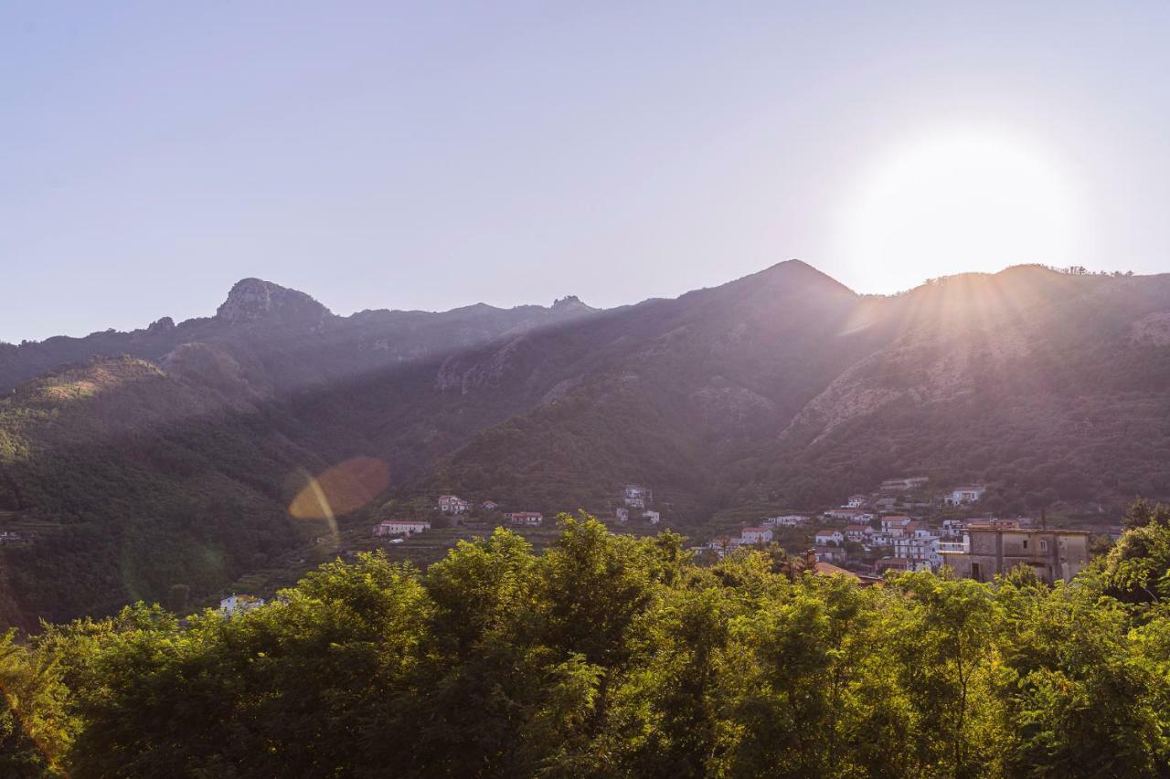 Tra I Monti Bed & Breakfast ตรามอนติ ภายนอก รูปภาพ